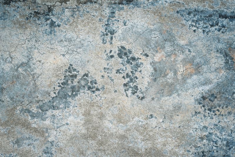 Concrete Acid Staining detail