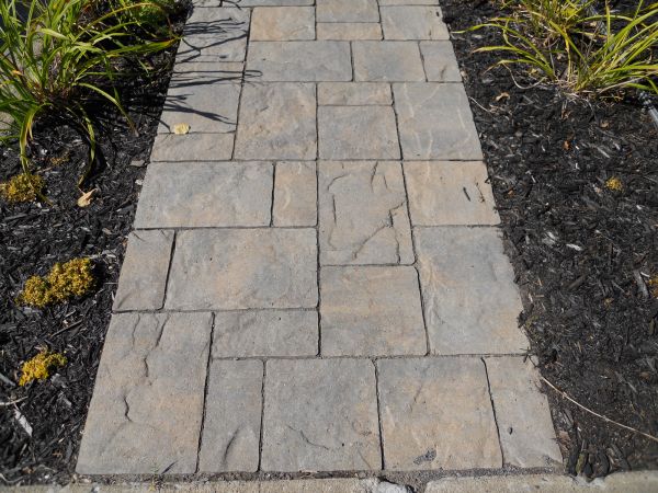 Stamped Concrete Staining in Irvine